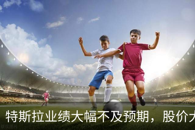 特斯拉业绩大幅不及预期，股价大跌